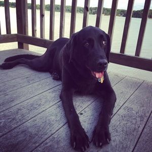 Meet your Posher, Jon