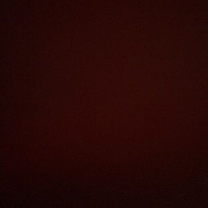 Meet your Posher, Jaylin