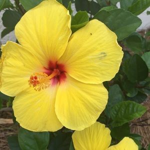 Meet your Posher, Vickie