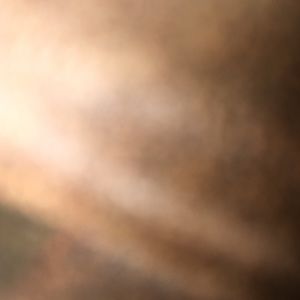 Meet your Posher, Autumn