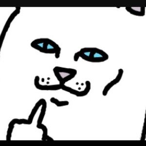 Meet your Posher, Sofia