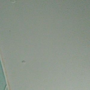 Meet your Posher, Keysa