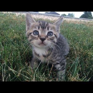 Meet your Posher, Valentina