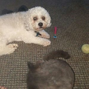 Meet your Posher, Christine