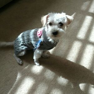 Meet your Posher, Penny