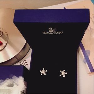 Swarovski Earnings
