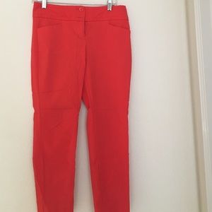 The Limited Exact Stretch Cropped Pants