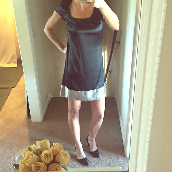Express Silk Dress