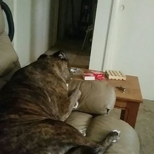 Meet your Posher, Sherry