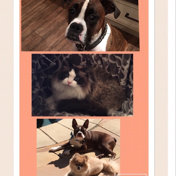 All about me! - Picture 3 of 3