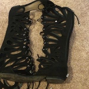 Butterfly Gladiators