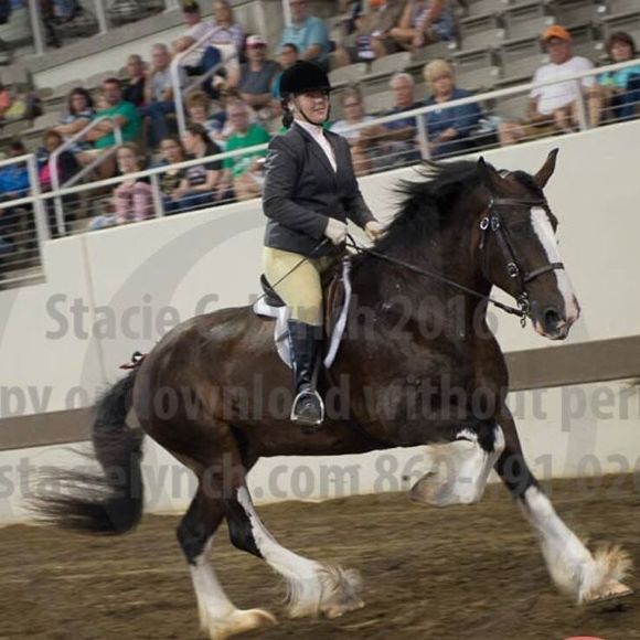 Meet your Posher, Brianna