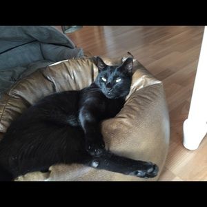 Meet your Posher, Ingrid