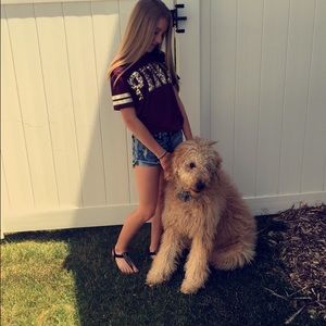 Meet your Posher, Meadow