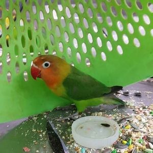 Meet your Posher, Julio