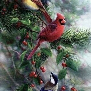 Meet your Posher, Becky