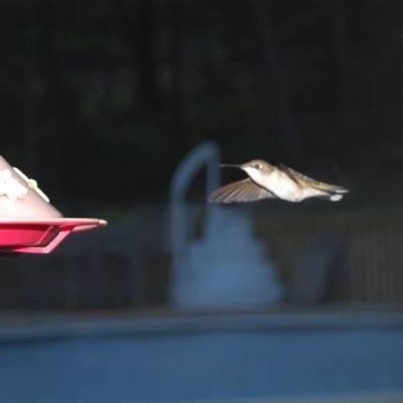 Meet your Posher, Suzan