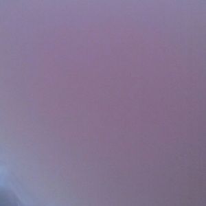 Meet your Posher, Chelsea