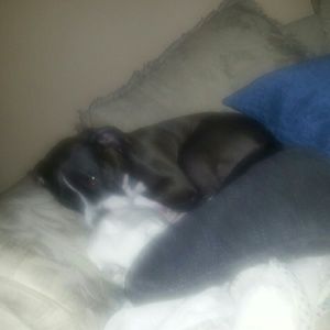 Meet your Posher, Emilee