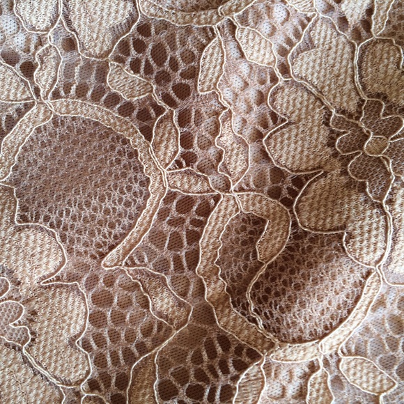 🚫SOLD🚫Umgee full lace pants nude pink color l - Picture 3 of 4