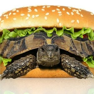 Meet your Posher, Marissa