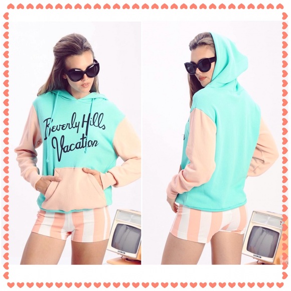 ❌SOLD❌NWT Wildfox Jazz Basic Shorts Beverly Stripe - Picture 2 of 3