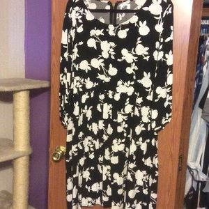 Old navy dressage bundle