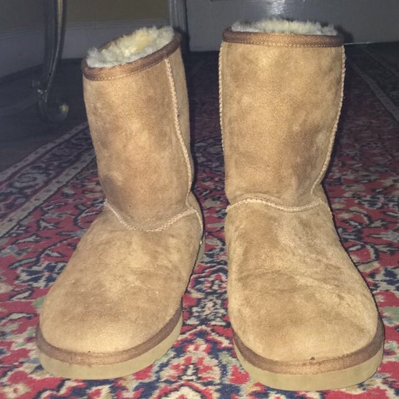 Short chestnut uggs