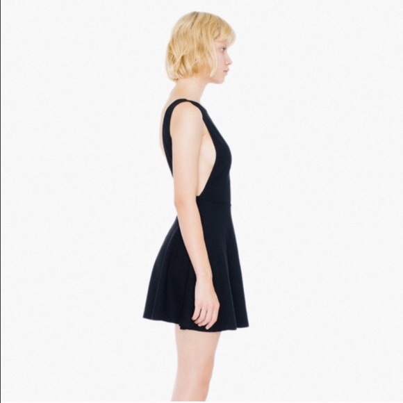 American apparel ponte skater dress