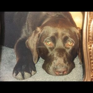 Meet your Posher, Lesa