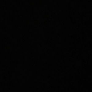 Meet your Posher, Damani