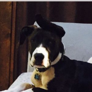 Meet your Posher, Margo