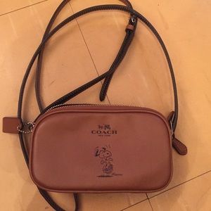 Snoopy Coach crossover