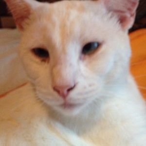 Meet your Posher, Jackayla