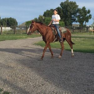 Meet your Posher, Brenna