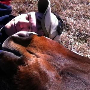 Meet your Posher, Brandon