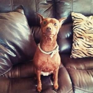 Meet your Posher, Edna