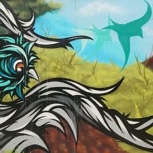 Meet your Posher, Kassandra