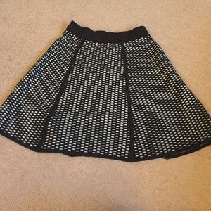 Ann Taylor Skirt