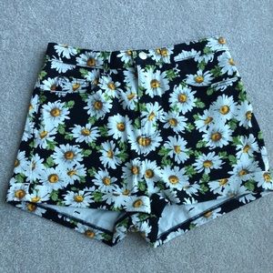american apparel daisy shorts