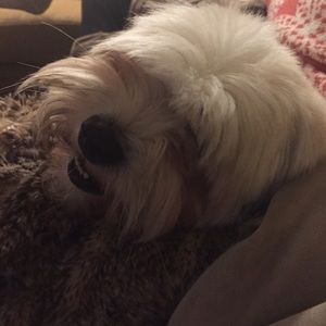 Meet your Posher, Georgina