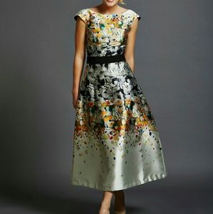 Sachin and Babi tea length dress