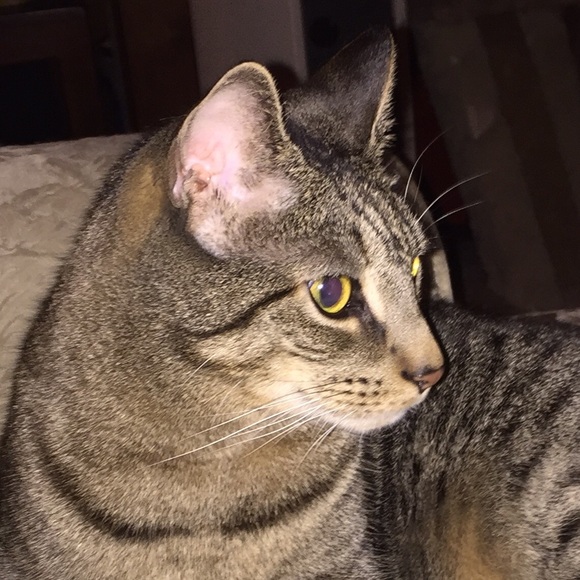 Meet your Posher, Amie