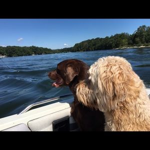 Meet your Posher, Beth