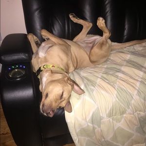 Meet your Posher, Ashtin