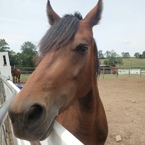 Meet your Posher, Crystal