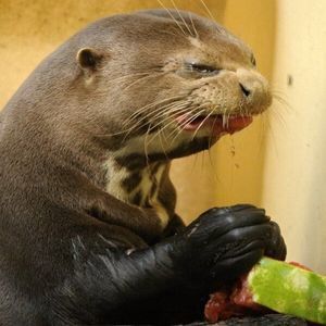 Meet your Posher, Catherine