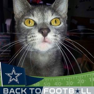 Meet your Posher, Mary