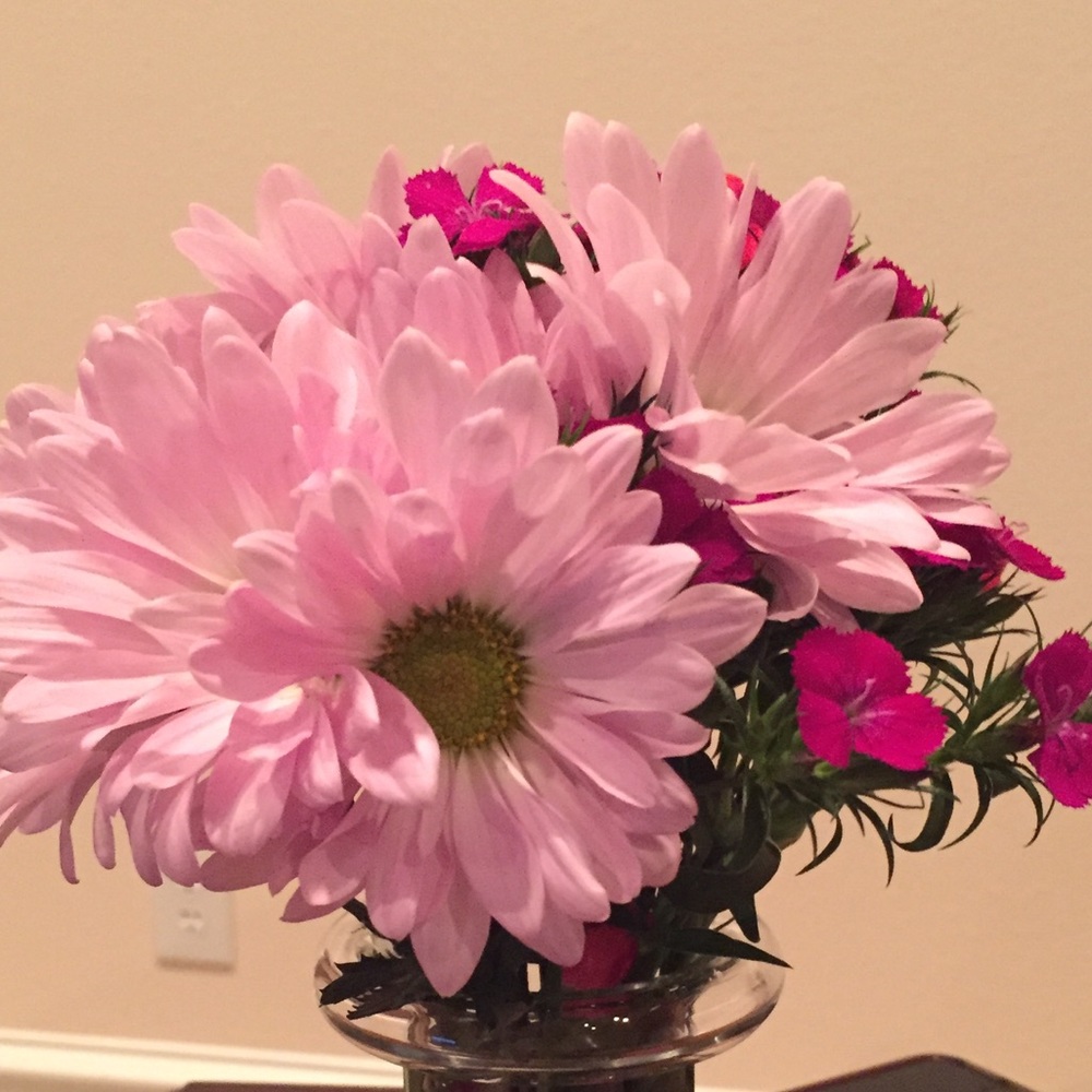 Meet your Posher, Kathryn