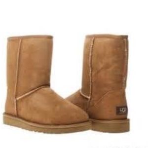 Short Chestnut UGG Boots